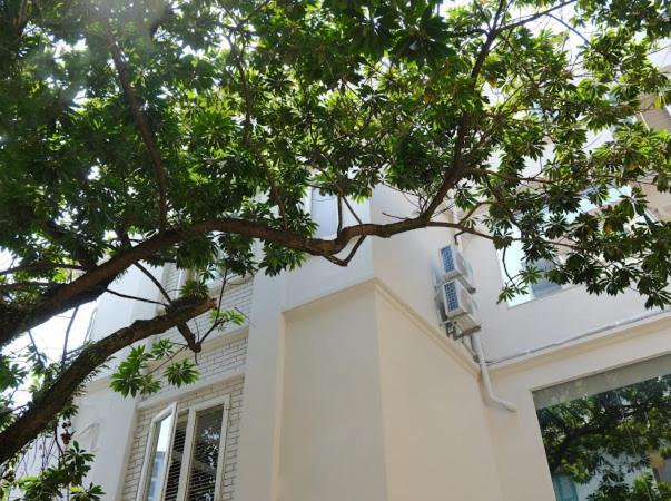 Le Petit Hanoi Exterior foto